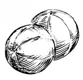 Melon de Lunéville
