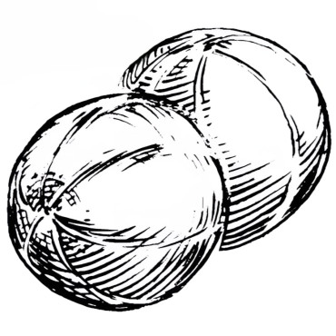 Melon vert olive d'hiver d'Espagne