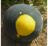 Pastèque Lune Etoile