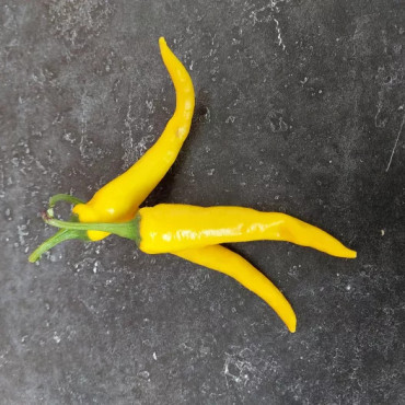 Piment de Cayenne