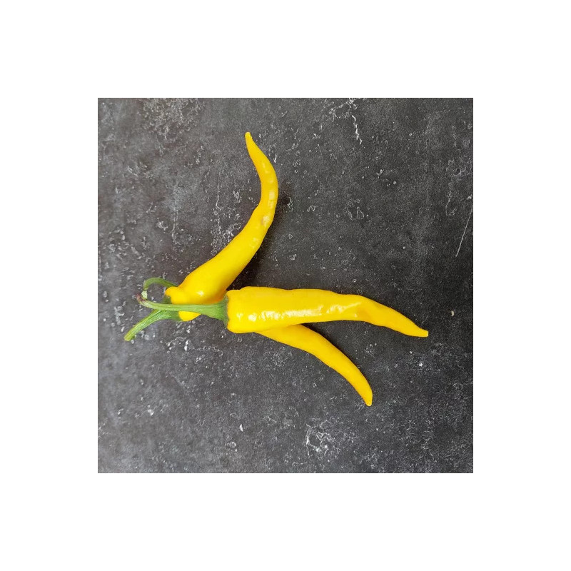 Piment de Cayenne