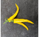 Piment de Cayenne