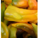 Poivron Oro