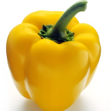 Poivron Quadrato d'Asti Giallo