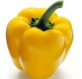 Poivron Quadrato d'Asti Giallo