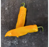 Poivron sucette de Hyères