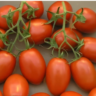 Tomate de Bérao