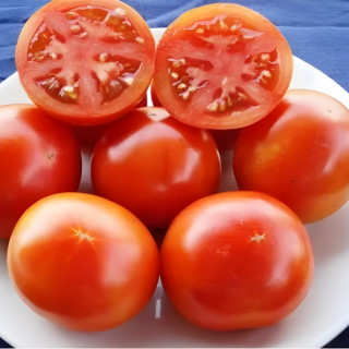 Tomate Burbank
