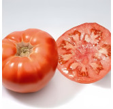 Tomate Marmande