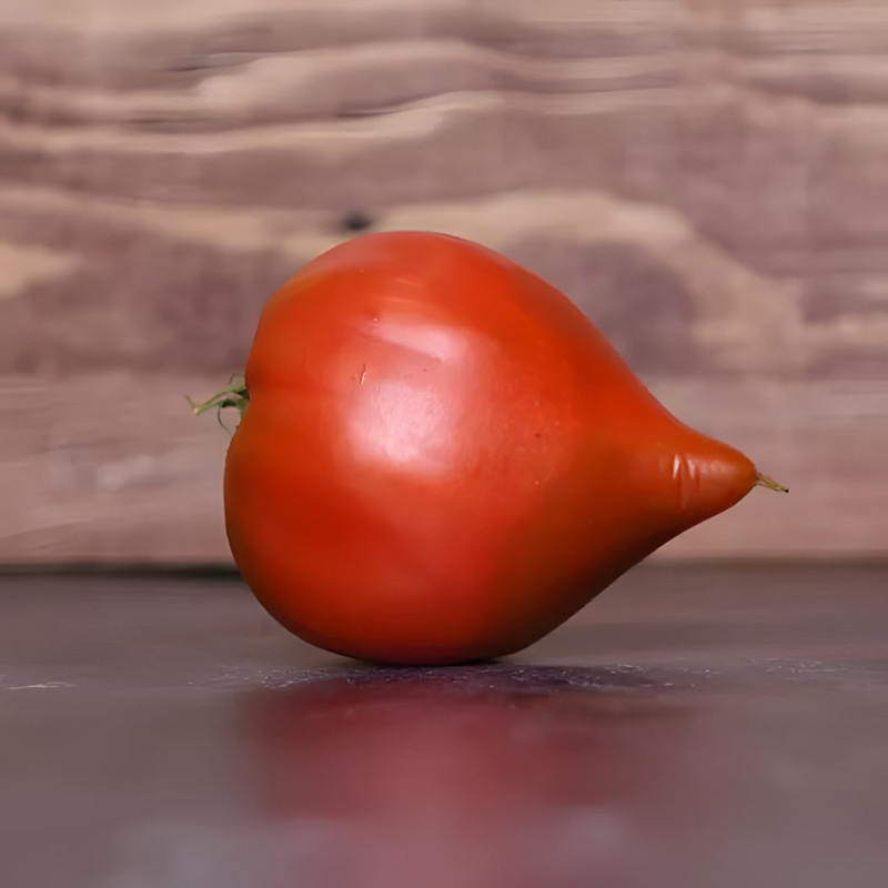 Tomate Téton de Vénus