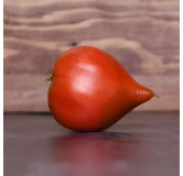 Tomate Téton de Vénus