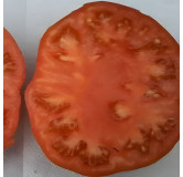 Tomate Suzy