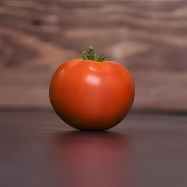 Tomate Merveille des Serres