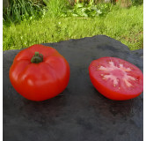 Tomate rouge de Namur