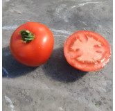 Tomate Charnue de Huy