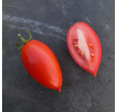 Tomate Prolifique de Falisolle