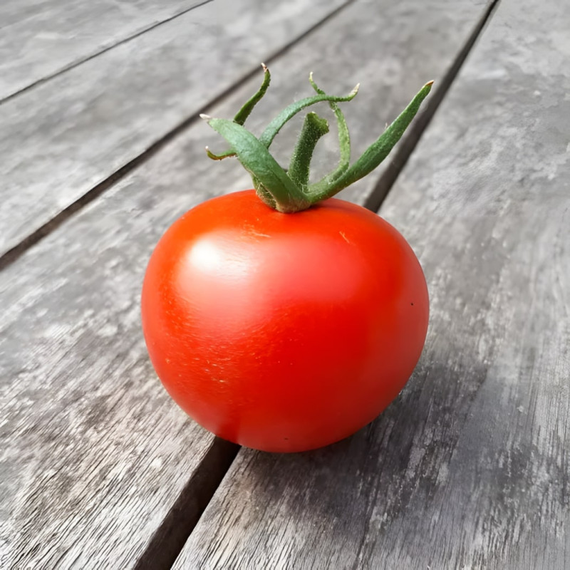 Tomate rouge Joffre