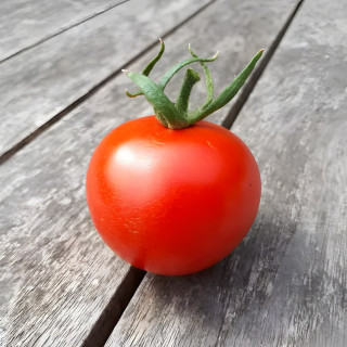 Tomate rouge Joffre