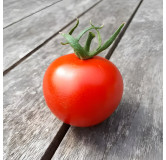 Tomate rouge Joffre