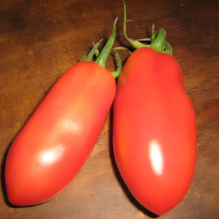 Tomate San Marzano