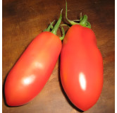 Tomate San Marzano