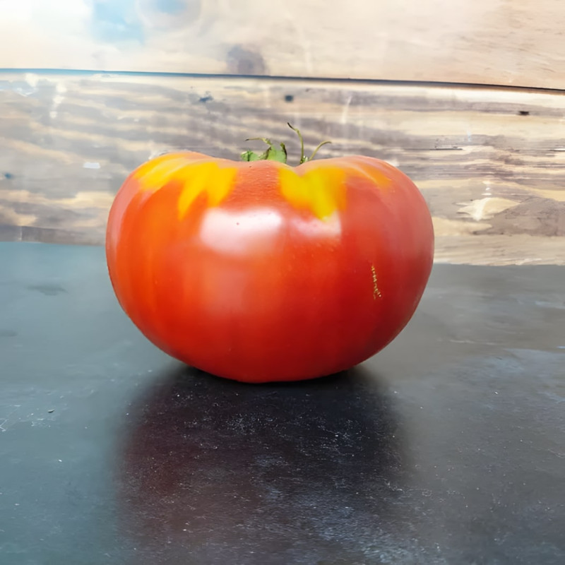 Tomate Grosse de Dordogne