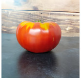 Tomate Grosse de Dordogne