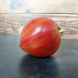 Tomate bigarée Cœur Rose strié de Pessac