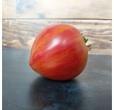Tomate bigarée Cœur Rose strié de Pessac