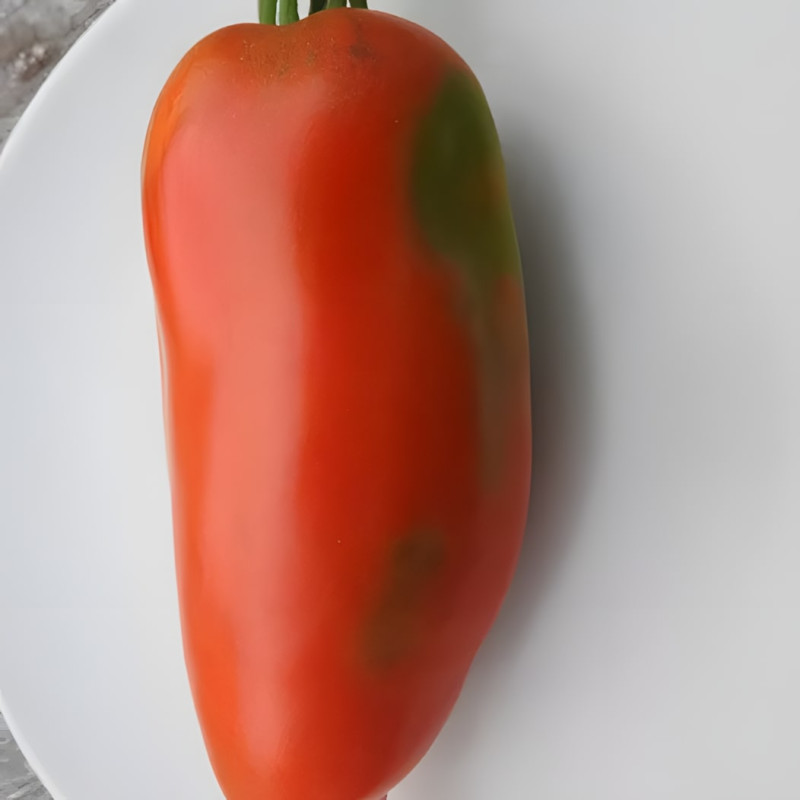 Tomate St Jean D'Angely