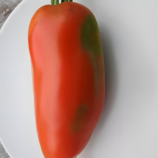 Tomate St Jean D'Angely