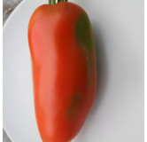 Tomate St Jean D'Angely