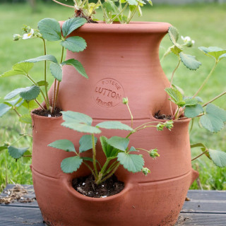POTERIE DE JARDIN : TOUR À FRAISIER