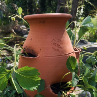 POTERIE DE JARDIN : TOUR À FRAISIER