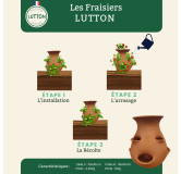 POTERIE DE JARDIN : TOUR À FRAISIER