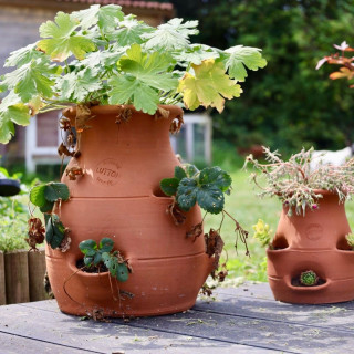 POTERIE DE JARDIN : TOUR À FRAISIER