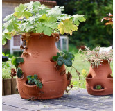 POTERIE DE JARDIN : TOUR À FRAISIER