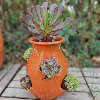 POTERIE DE JARDIN : TOUR À FRAISIER