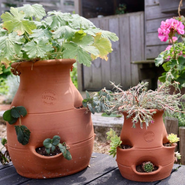 POTERIE DE JARDIN : TOUR À FRAISIER