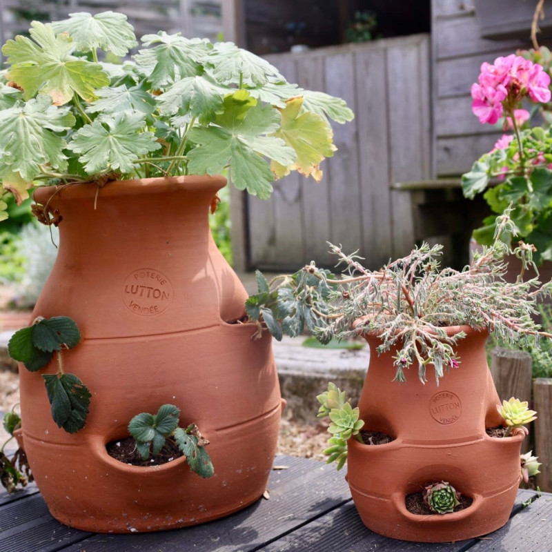 Poterie de jardin : Tour à fraisier