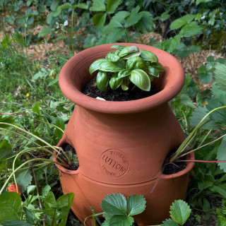 POTERIE DE JARDIN : TOUR À FRAISIER