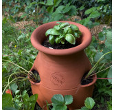 POTERIE DE JARDIN : TOUR À FRAISIER