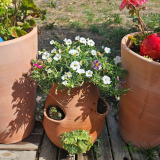 POTERIE DE JARDIN : TOUR À FRAISIER