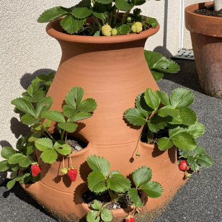 POTERIE DE JARDIN : TOUR À FRAISIER