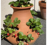 POTERIE DE JARDIN : TOUR À FRAISIER