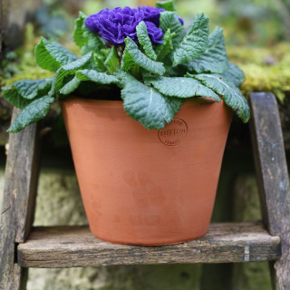 Poterie de jardin : Pot Terracotta