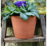 Poterie de jardin : Pot Terracotta