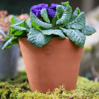 Poterie de jardin : Pot Terracotta