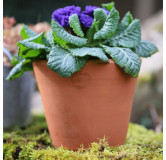 Poterie de jardin : Pot Terracotta