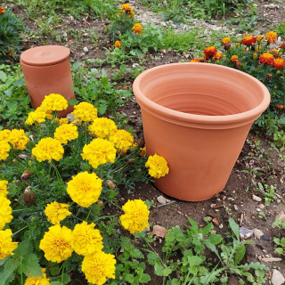 Poterie de jardin : Pot Terracotta